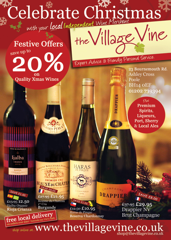 the-village-vine-flyer